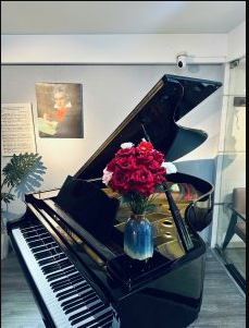 Tiêu Chí Đánh Giá Chất Lượng Của Một Cây Đàn Piano Cơ