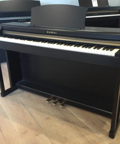 Kawai CN24