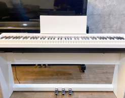 Roland FP-30